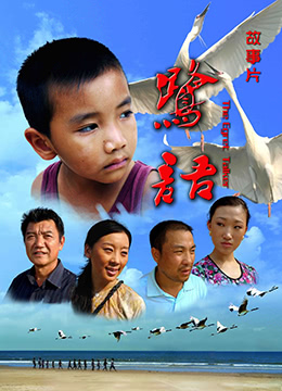 台湾电影网